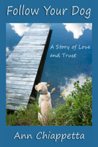 PD Yellow lab Bailey lying next to water, blue sky above and his image reflected in the water beside him.