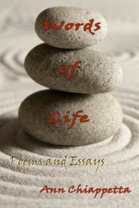 book cover white rocks beside patterns of sand