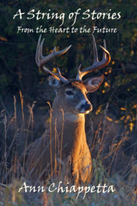 White tail stag deer standing majestically in forest.